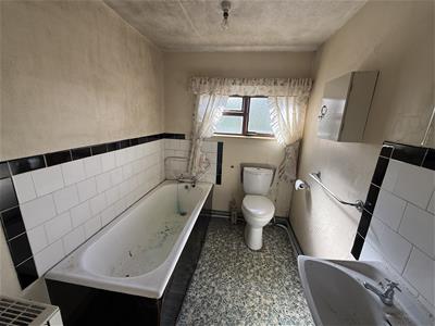 Picture 19